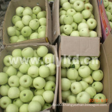 Good Quality Carton Packing Fresh Golden Apple